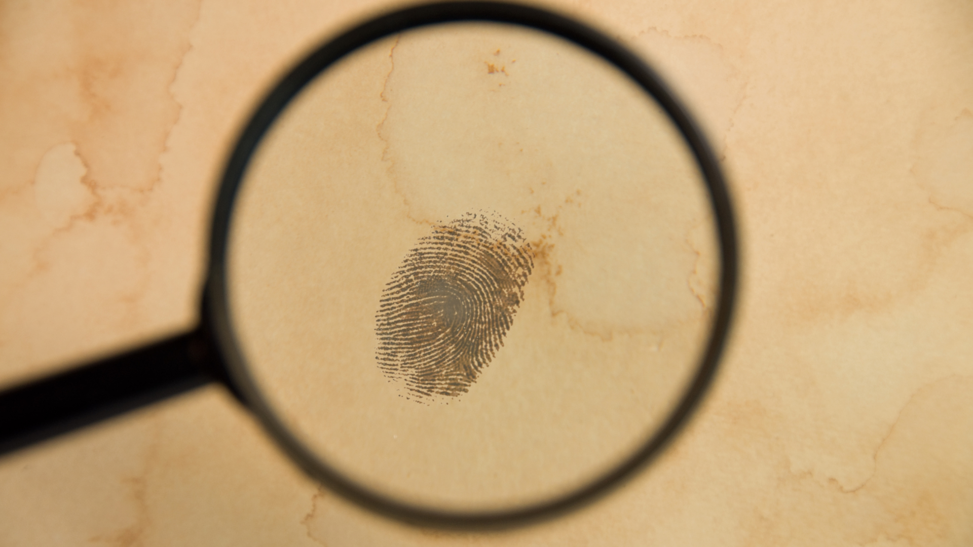 How Investigations Begin in a Park Slope White Collar Crime Case